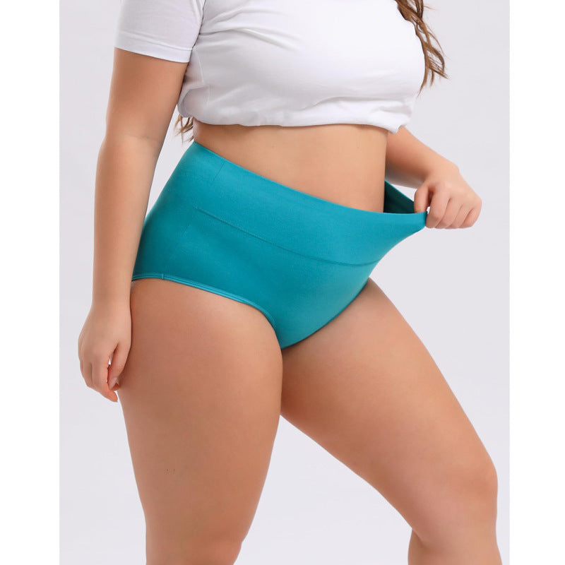 Women's Cotton High-Waist Briefs | Multi-Pack, Sizes XS-6XL