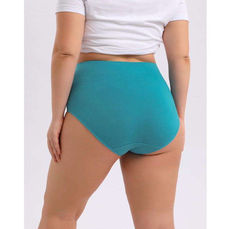 Women's Cotton High-Waist Briefs | Multi-Pack, Sizes XS-6XL