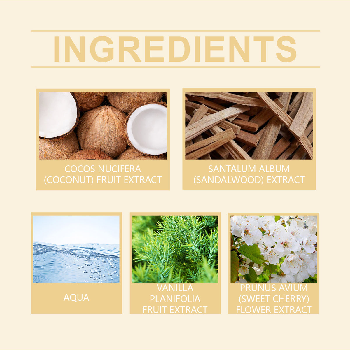 Roxelis Vanilla Coconut Body Spray | Coconut & Sandalwood