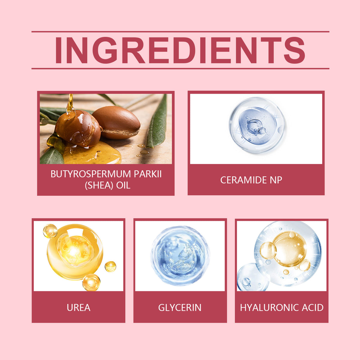 Nourishing Face Cream | Hyaluronic Acid & Shea Butter, Day & Night