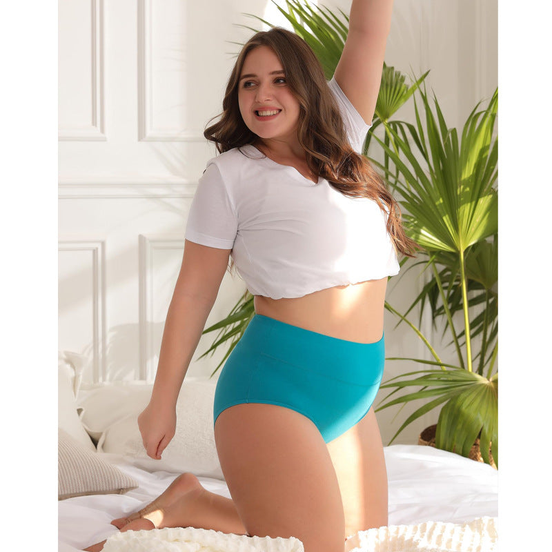 Women's Cotton High-Waist Briefs | Multi-Pack, Sizes XS-6XL
