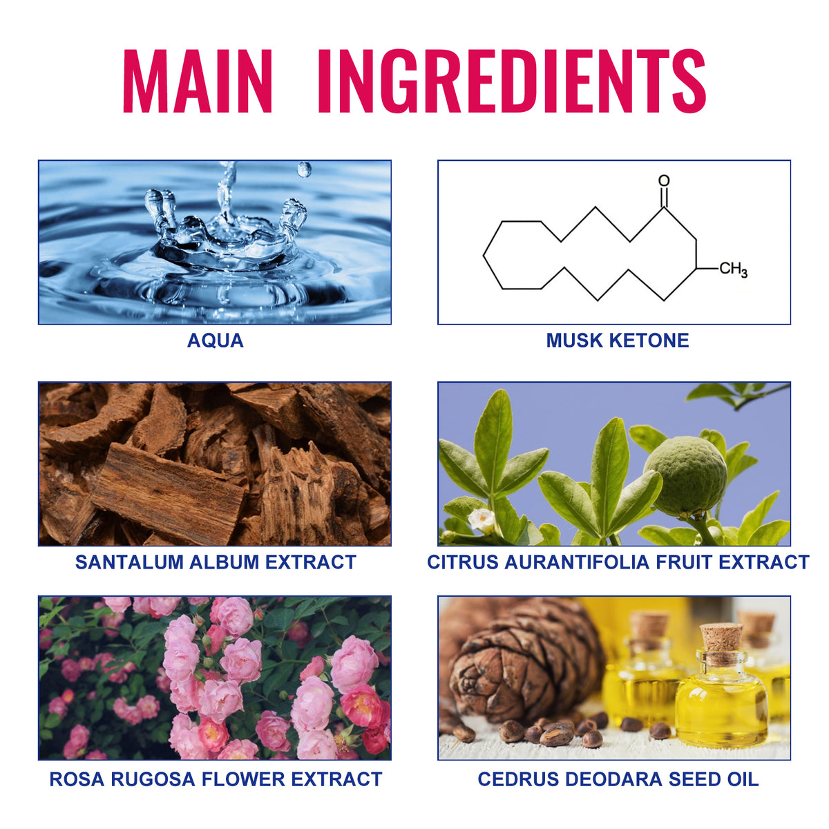 Charm Light Perfume for Women | Musk, Sandalwood & Lime