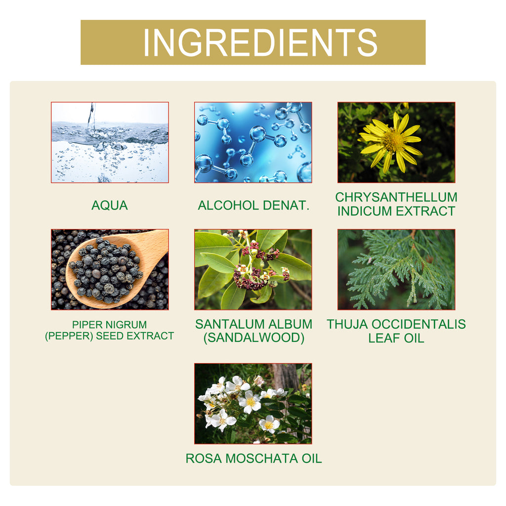 Charm Musk Rose Perfume | Fresh & Natural