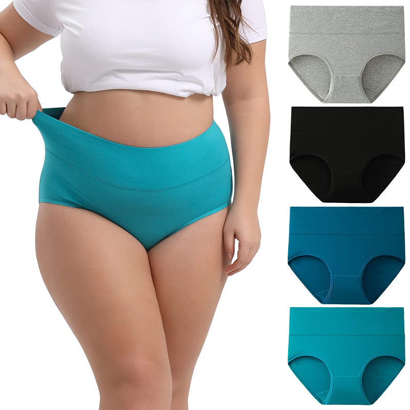 Women's Cotton High-Waist Briefs | Multi-Pack, Sizes XS-6XL