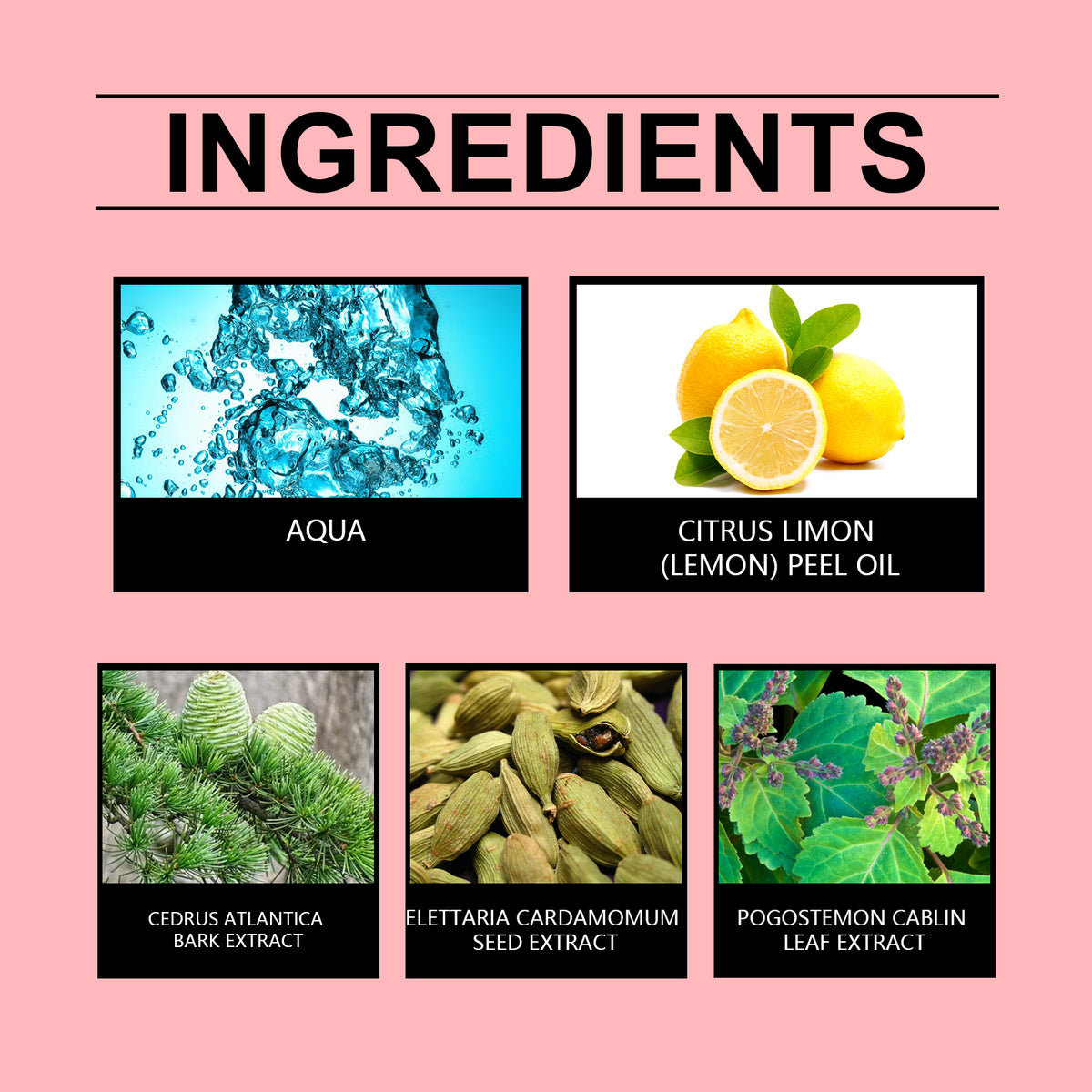 Cardamom Lemon Perfume | Lemon Peel & Cedar