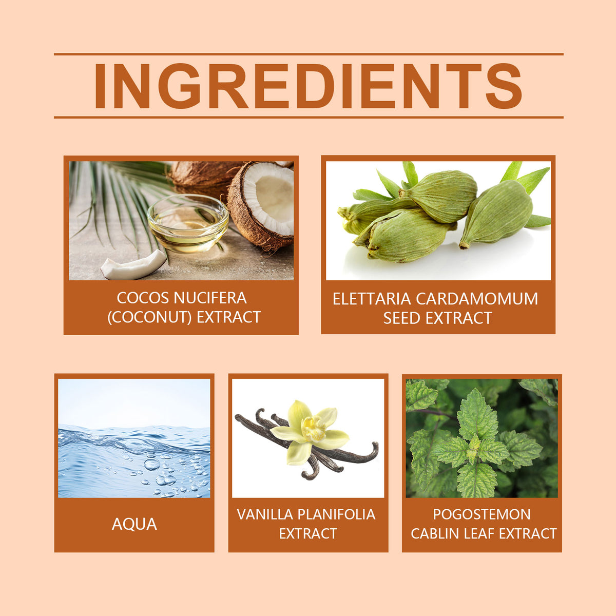 Light Vanilla Coconut Perfume for Women