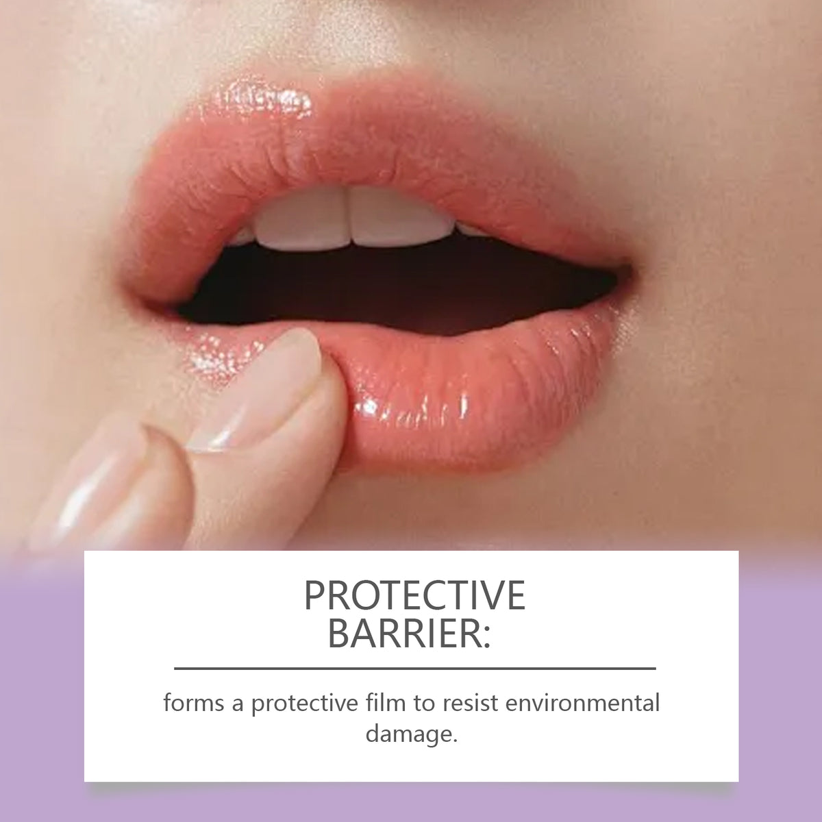 Moisturizing Lip Balm | Jojoba & Mineral Oil