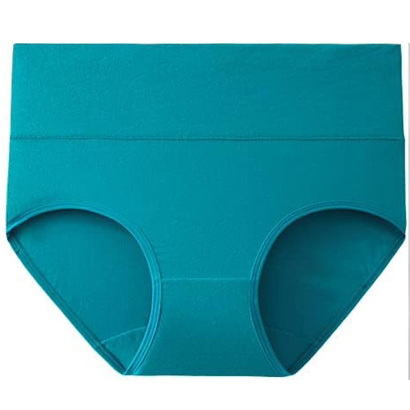 Women's Cotton High-Waist Briefs | Multi-Pack, Sizes XS-6XL