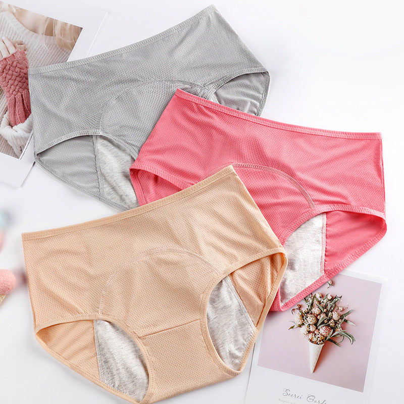 Women's Mesh Period Briefs | Nylon, 8 Colors, Sizes L-6XL