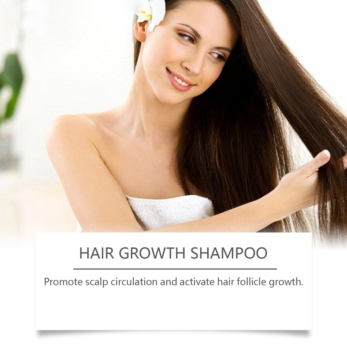 Rosemary & Rose Gentle Scalp Shampoo | Cleansing Shampoo