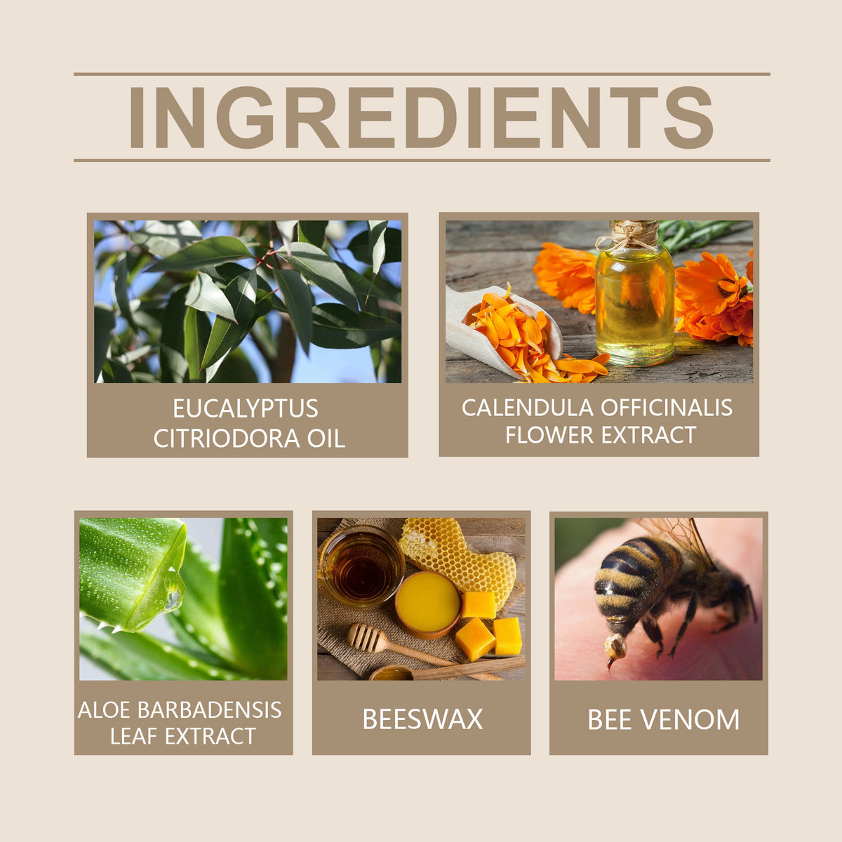 Bee Venom Body Cream | Beeswax & Aloe
